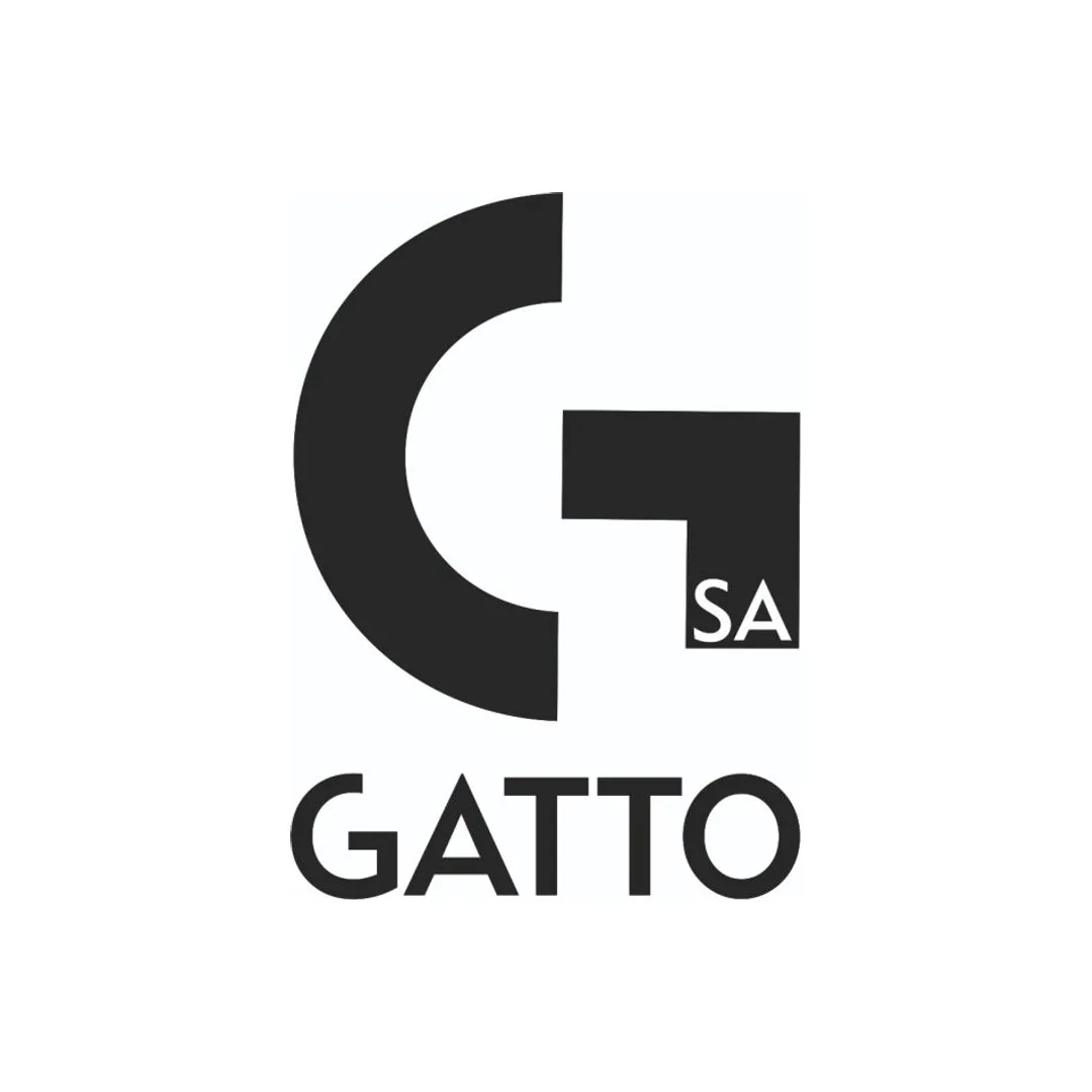 gatto